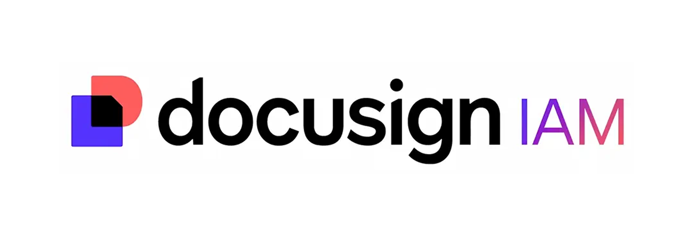 DocuSign IAM